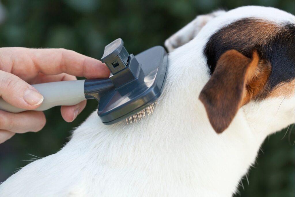Self Cleaning Slicker Brush Image