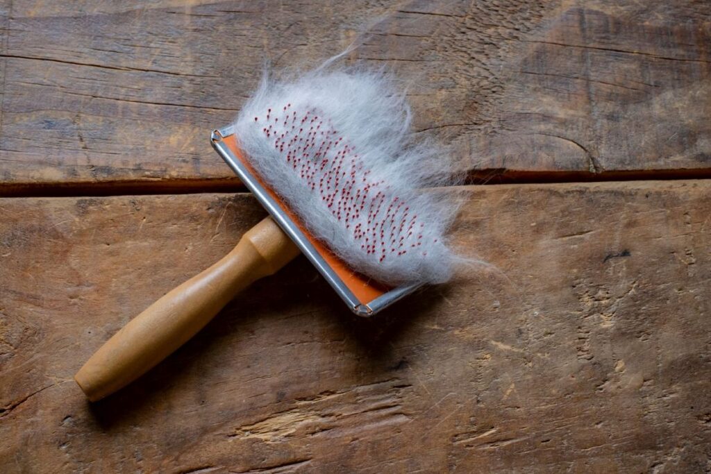 Self Cleaning Slicker Brush Image