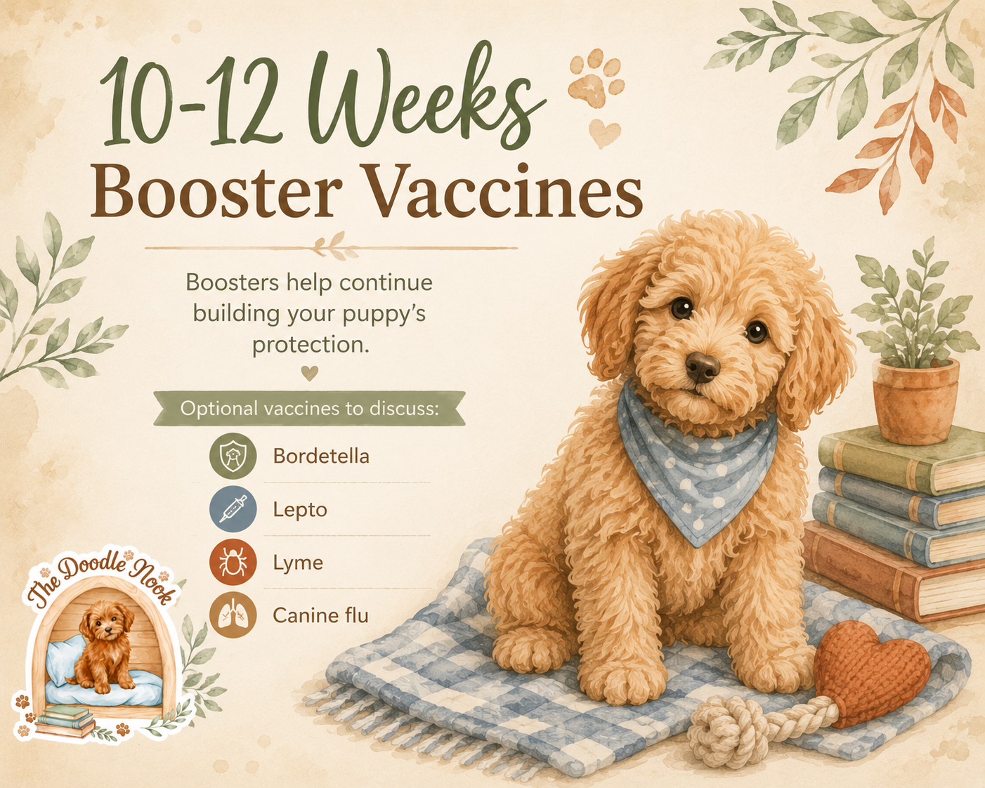 10-12 Weeks