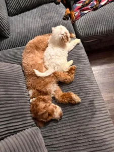 Happy Doodle