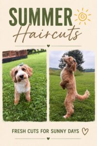 Happy Goldendoodle